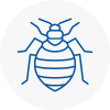 Bed Bug Extermination In Hornsey