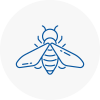 Bee Nest Removal Hornsey