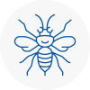 Hornsey Hornet Nest Removals