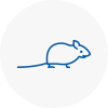 Mice Exterminators In Hornsey