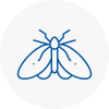 Moth Control Specialists In Hornsey