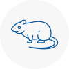 Rat Control Hornsey