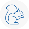 Hornsey Rodent Removals